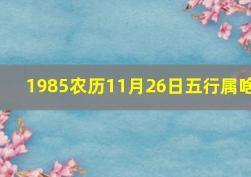 1985农历11月26日五行属啥