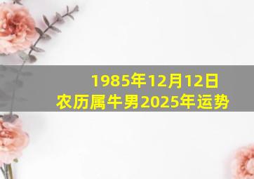 1985年12月12日农历属牛男2025年运势