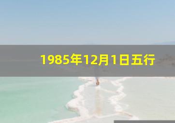 1985年12月1日五行