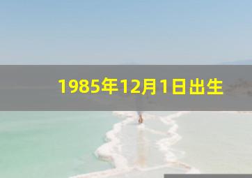 1985年12月1日出生