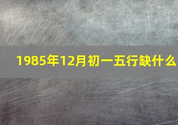 1985年12月初一五行缺什么