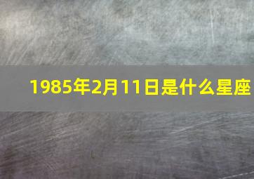 1985年2月11日是什么星座