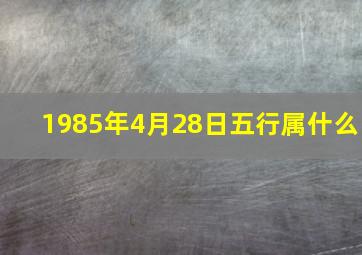 1985年4月28日五行属什么