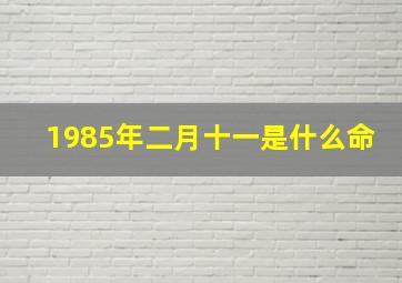 1985年二月十一是什么命