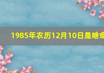 1985年农历12月10日是啥命