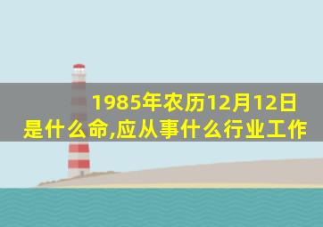 1985年农历12月12日是什么命,应从事什么行业工作