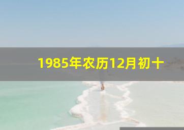 1985年农历12月初十