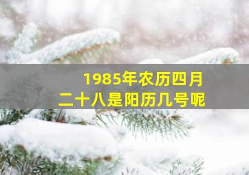 1985年农历四月二十八是阳历几号呢