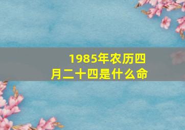 1985年农历四月二十四是什么命