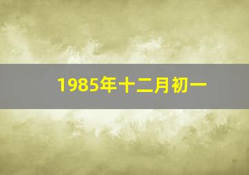 1985年十二月初一