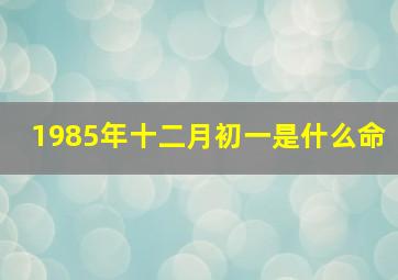 1985年十二月初一是什么命