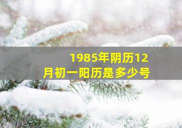 1985年阴历12月初一阳历是多少号