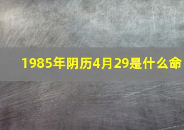 1985年阴历4月29是什么命