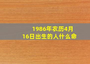 1986年农历4月16日出生的人什么命