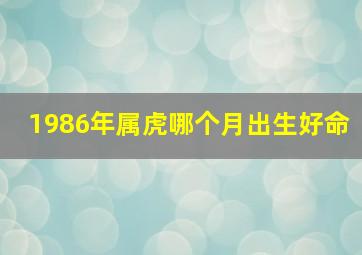 1986年属虎哪个月出生好命