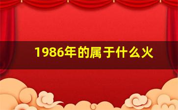 1986年的属于什么火