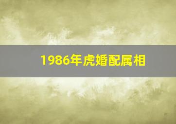 1986年虎婚配属相