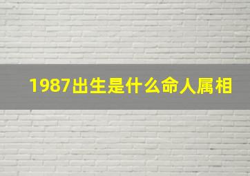 1987出生是什么命人属相