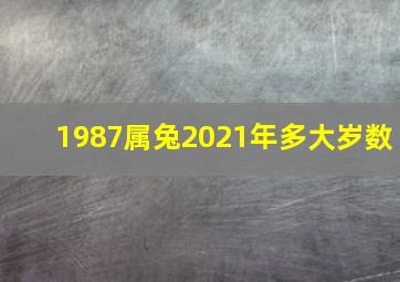 1987属兔2021年多大岁数