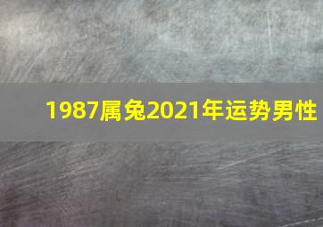 1987属兔2021年运势男性