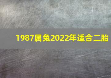 1987属兔2022年适合二胎