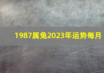 1987属兔2023年运势每月