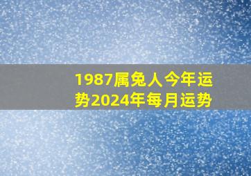 1987属兔人今年运势2024年每月运势