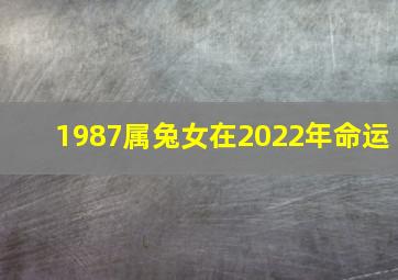 1987属兔女在2022年命运