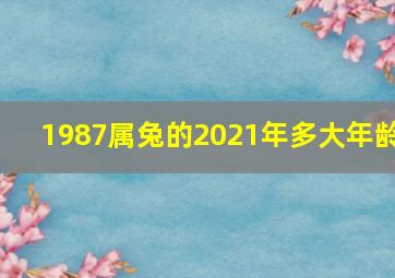 1987属兔的2021年多大年龄