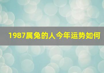 1987属兔的人今年运势如何