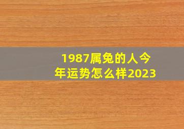 1987属兔的人今年运势怎么样2023