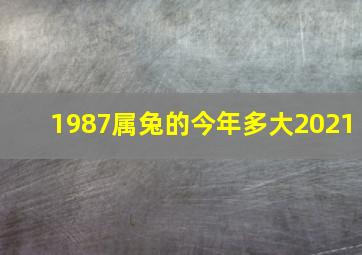 1987属兔的今年多大2021