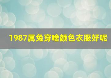 1987属兔穿啥颜色衣服好呢