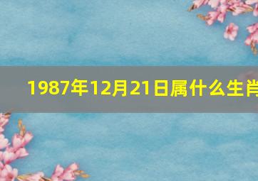 1987年12月21日属什么生肖