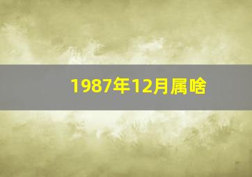 1987年12月属啥