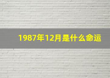 1987年12月是什么命运