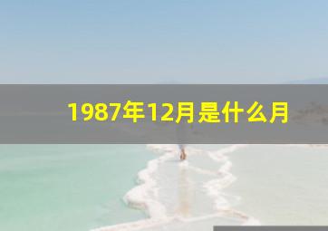 1987年12月是什么月