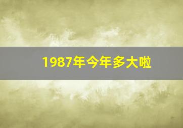 1987年今年多大啦