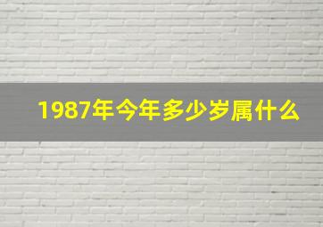 1987年今年多少岁属什么