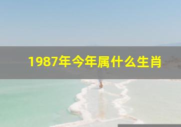 1987年今年属什么生肖