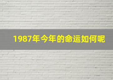 1987年今年的命运如何呢