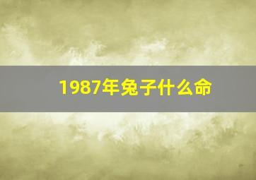 1987年兔子什么命