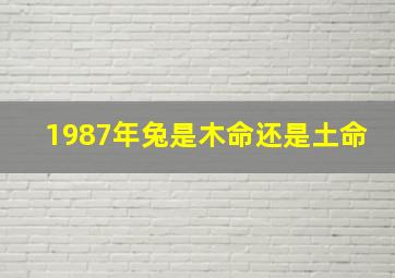 1987年兔是木命还是土命