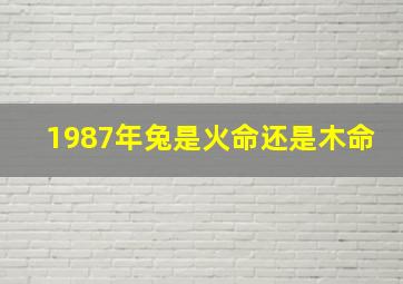 1987年兔是火命还是木命