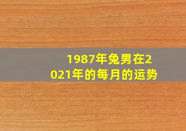 1987年兔男在2021年的每月的运势