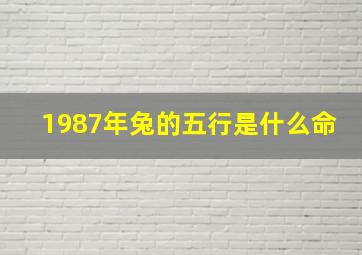 1987年兔的五行是什么命