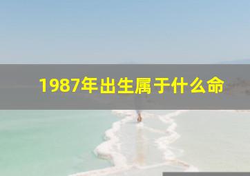 1987年出生属于什么命