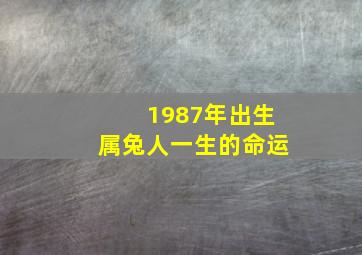 1987年出生属兔人一生的命运