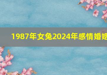 1987年女兔2024年感情婚姻