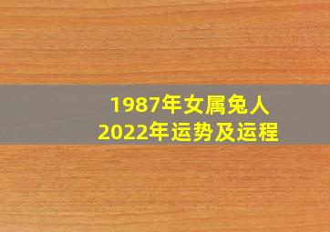 1987年女属兔人2022年运势及运程